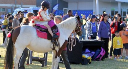 twilight fair